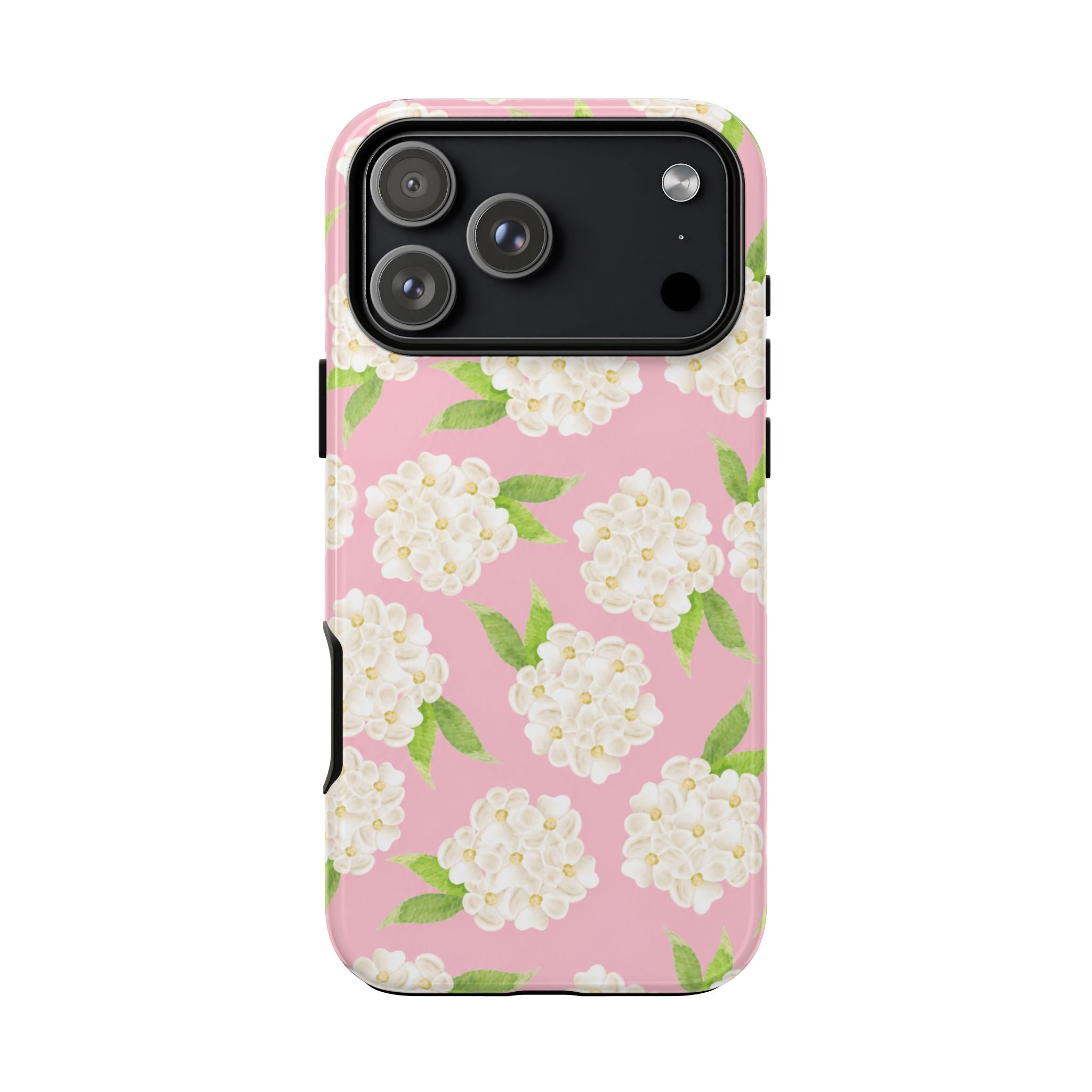 Carolina Case