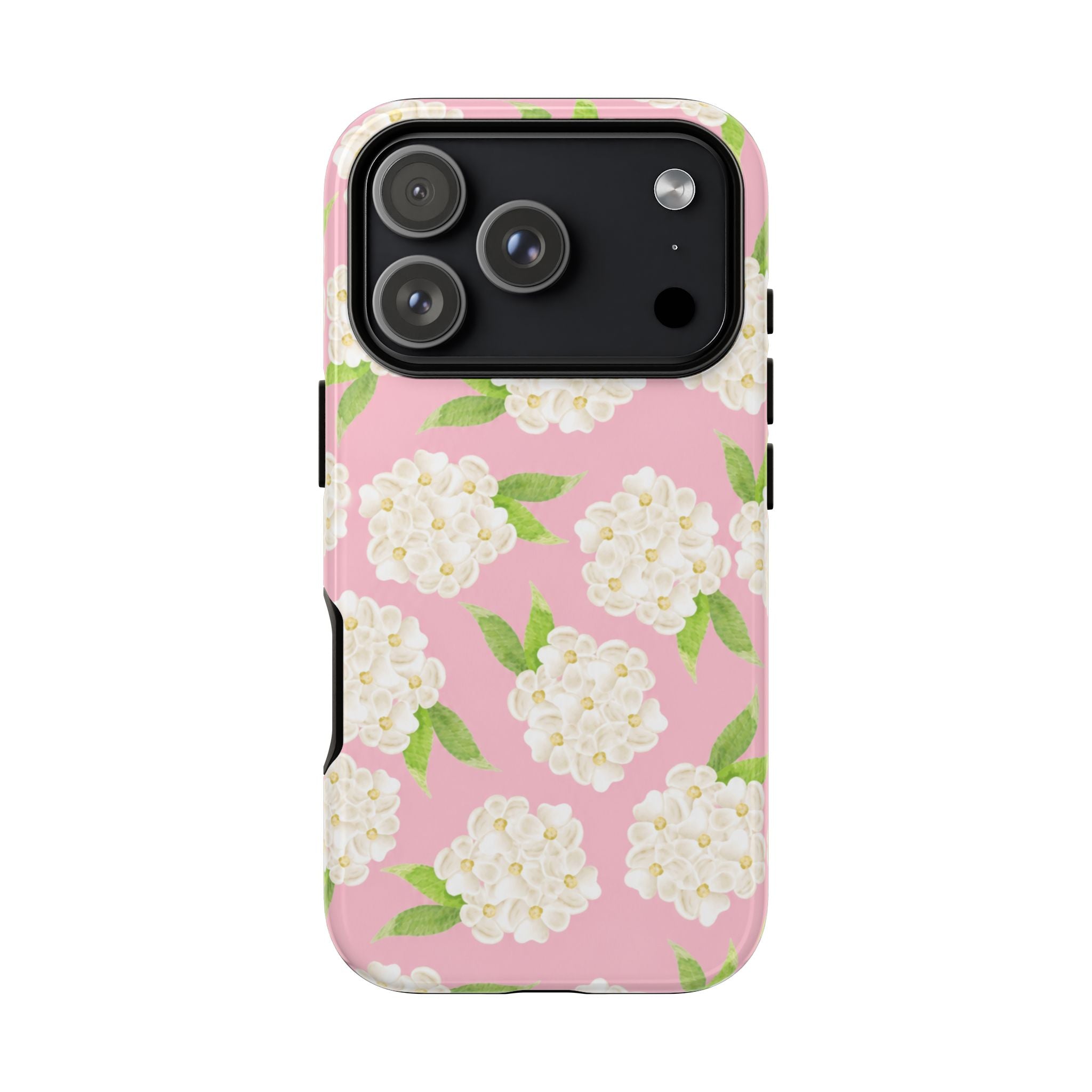 Carolina Case