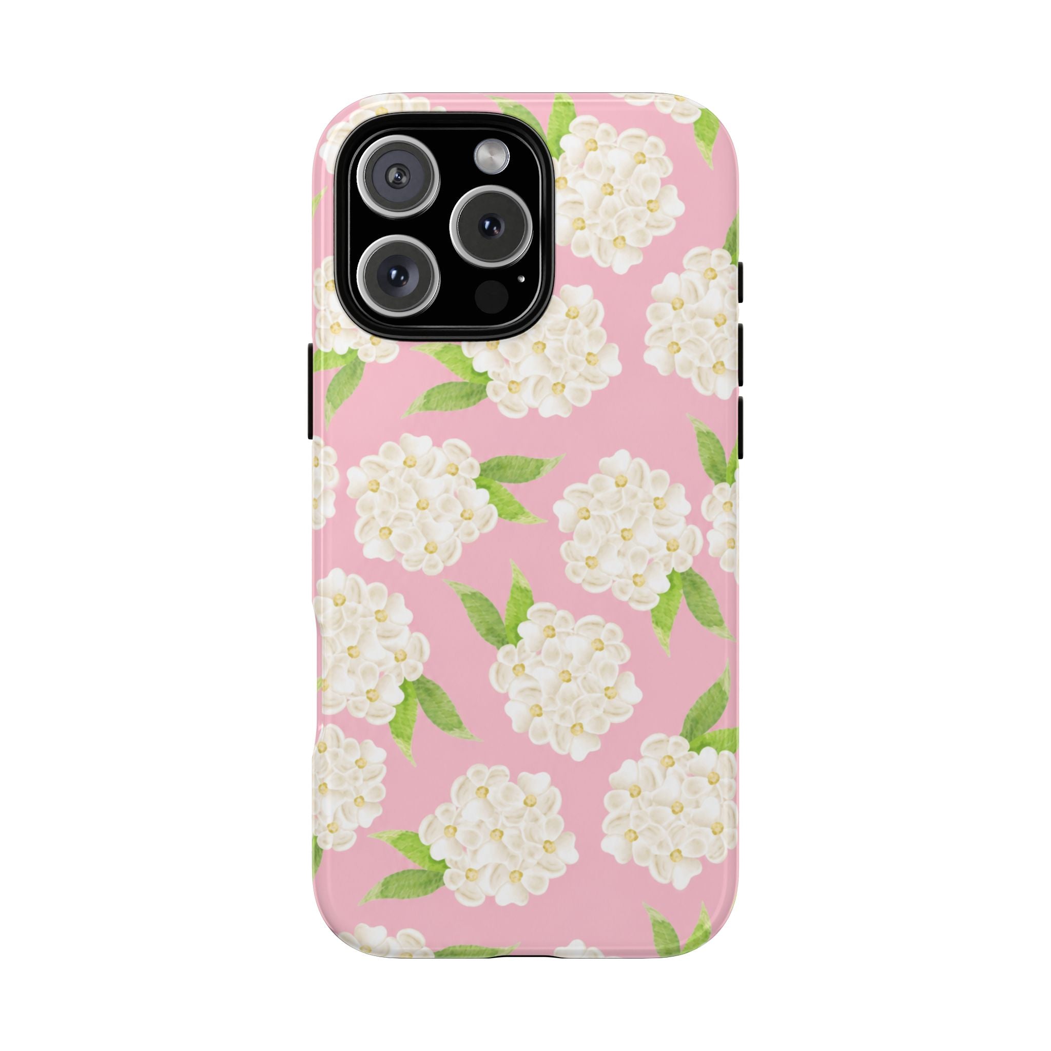 Carolina Case