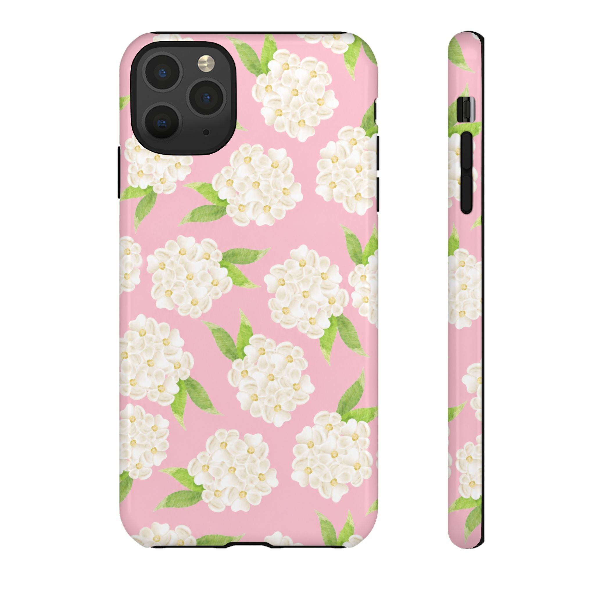 Carolina Case