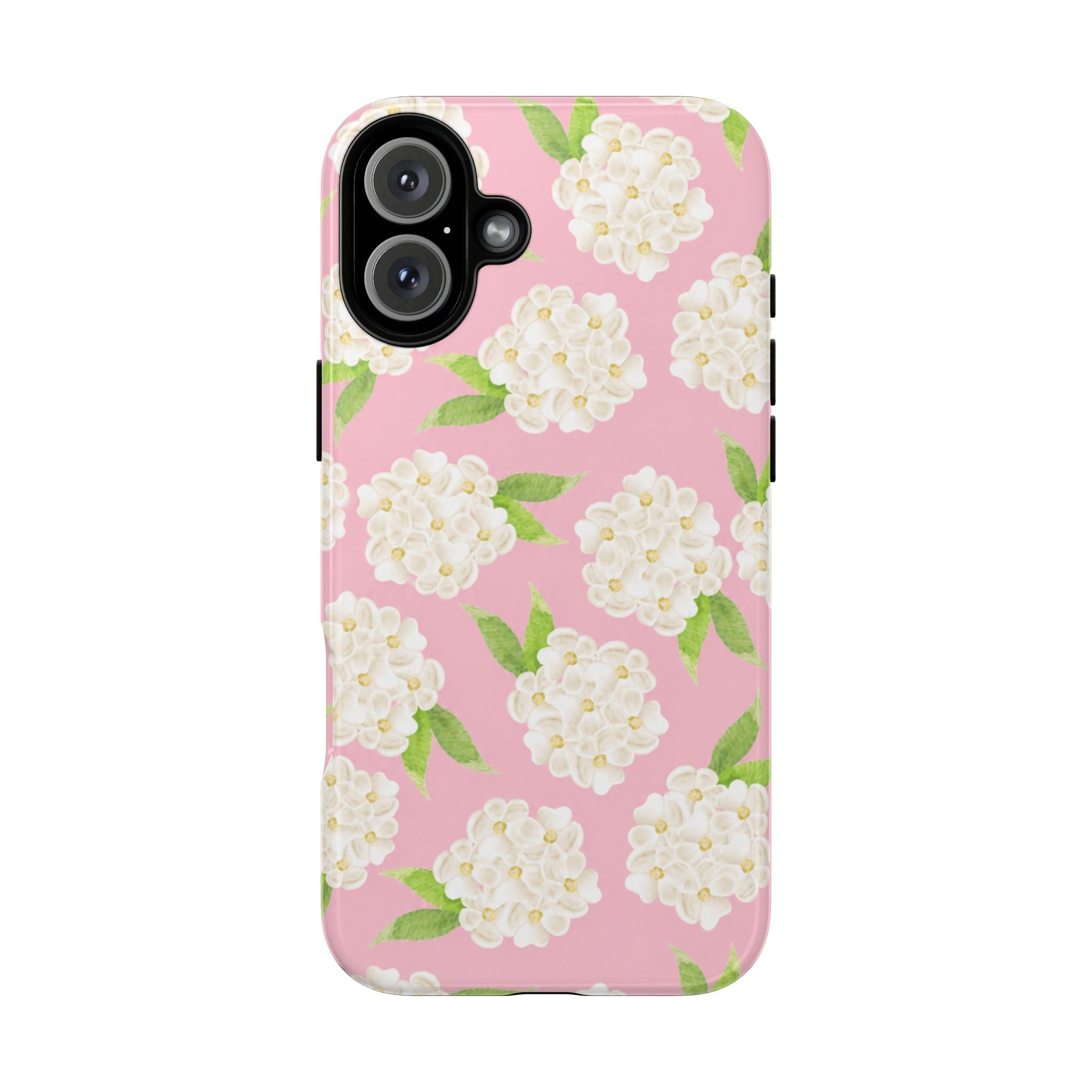 Carolina Case