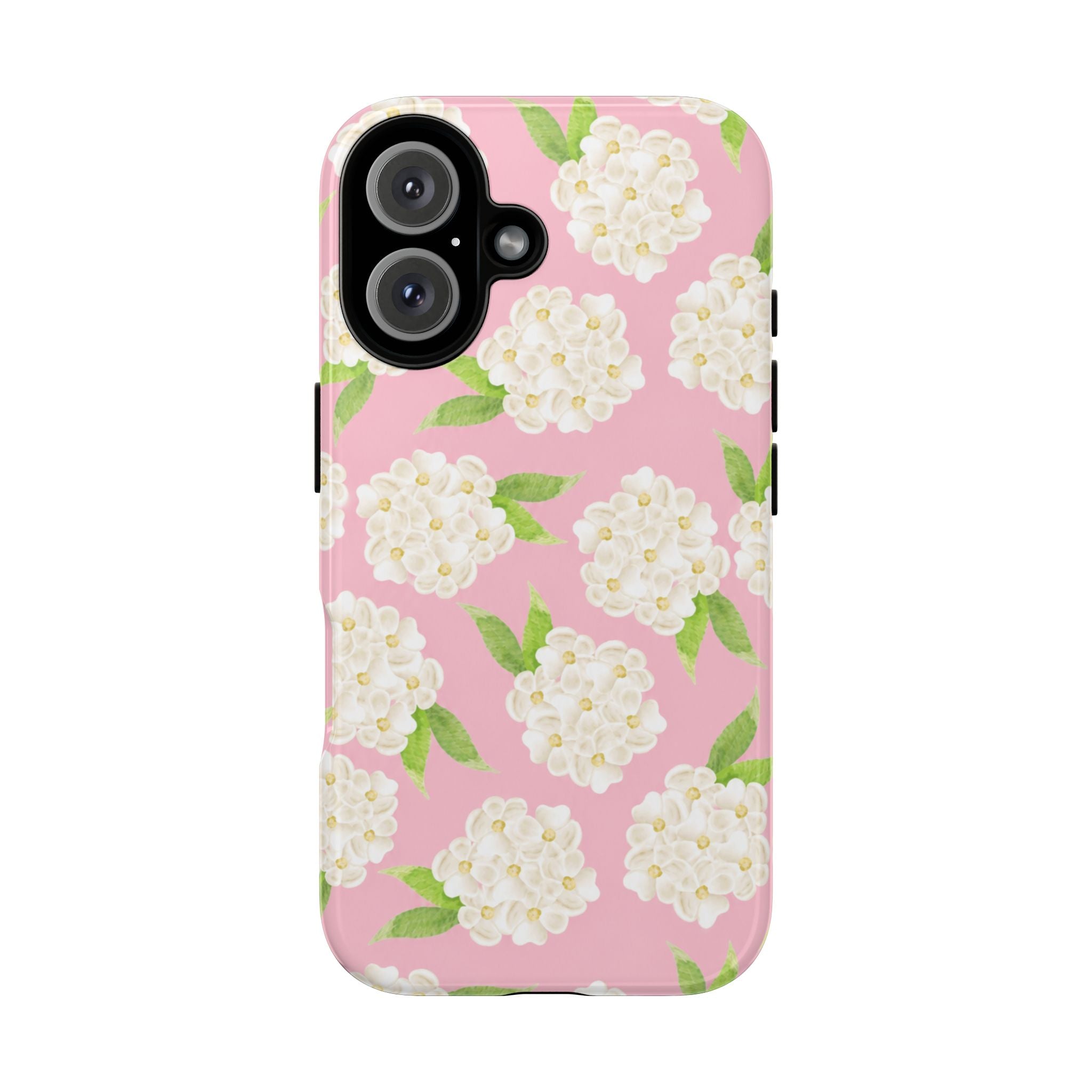 Carolina Case
