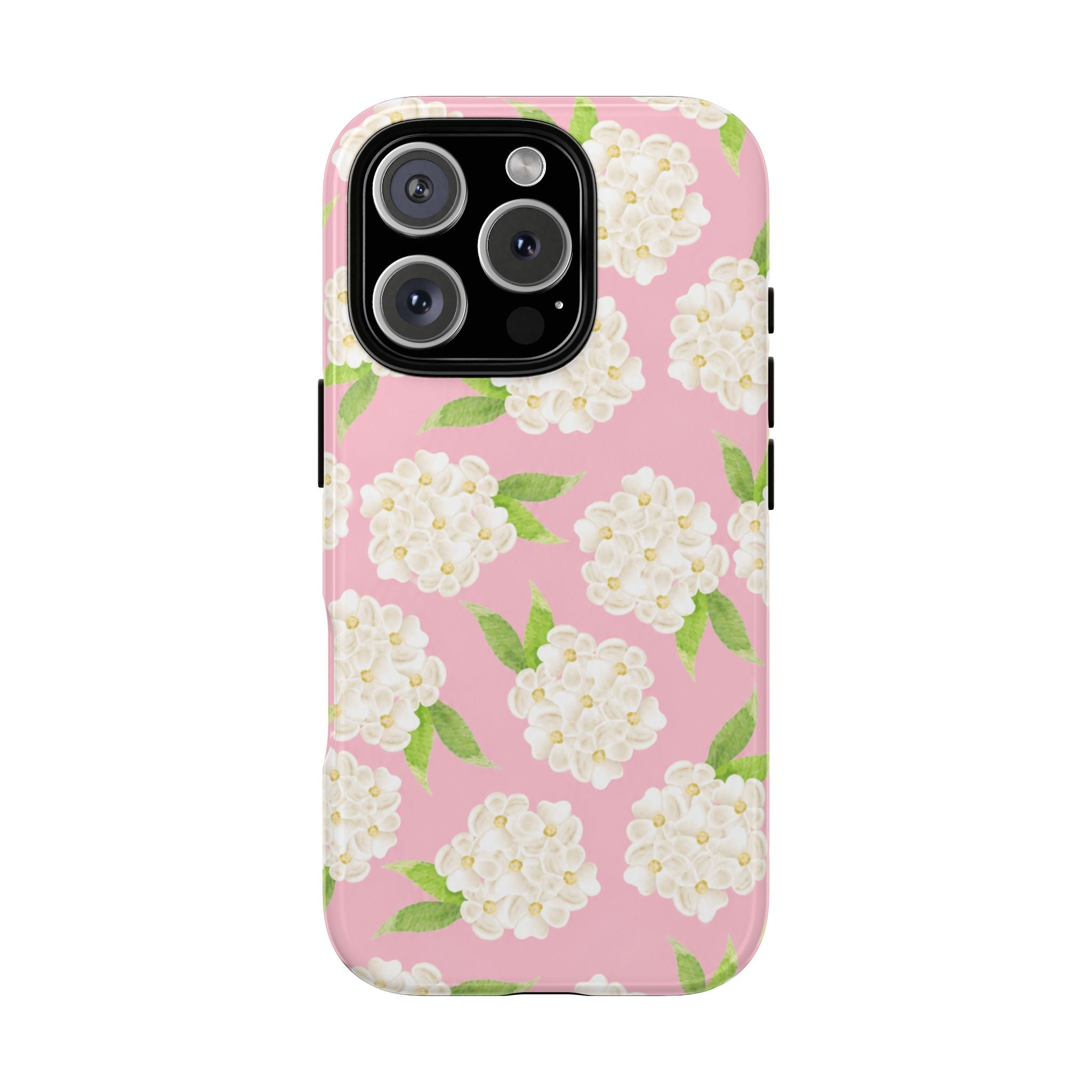 Carolina Case